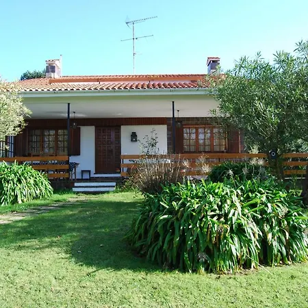 El Olivo Gijón